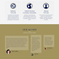 Портфолио excelsia